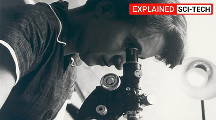 Rosalind Franklin, Nobel Prize, Rosalind Franklin DNA, Rosalind Franklin 100th birth anniversary, kings college Rosalind Franklin