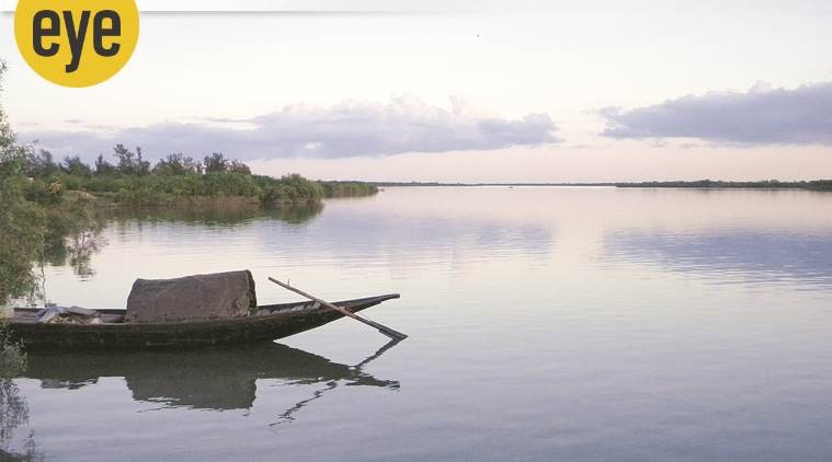 Sunday Long Reads The Goddess Of Sundarbans Legacy Of The Beatles Biography Of M Karunanidhi 