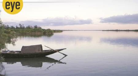 Sundarbans, Bon Bibi, forest deity of Sundarbans, the story of Bon Bibi, eye 2020, sunday eye, indian express, indian express news