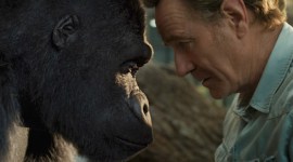 The One and Only Ivan, sam rockwell, bryan cranston