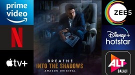 what to watch