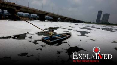Yamuna, yamuna pollution, ammonia detected in yamuna, yamuna water quality, indian express