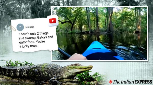 alligator kayak collision, alligator rams kayak, north carolina alligator kayak crash, viral video, gator kayak accident, indian express