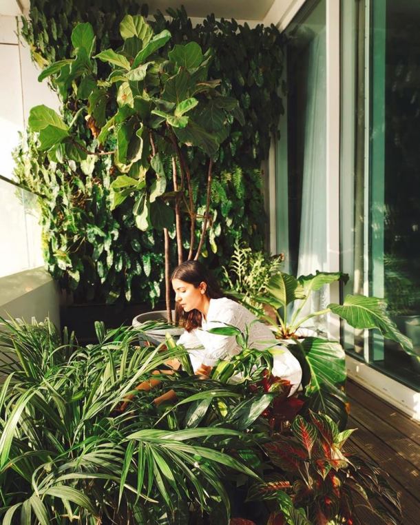 anushka planting