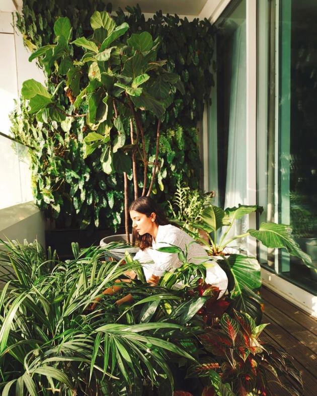 anushka planting