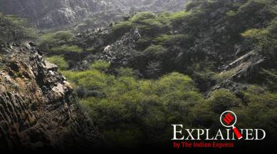 aerial seeding, what is aerial seeding, aerial seeding Haryana, Aravallis, Aravallis afforestation, express explained, indian express, aerial seeding drone, aerial seeding in India