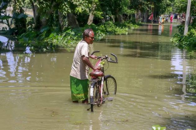 Assam floods, assam flood death toll, assam flood news, kaziranga national park flood, kaziranga animals dead flood, assam news, indian express
