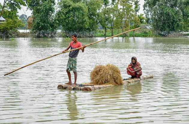 Assam floods, assam flood death toll, assam flood news, kaziranga national park flood, kaziranga animals dead flood, assam news, indian express