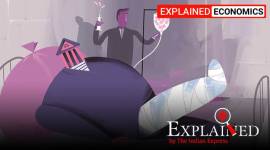 Bad bank, what is a bad bank, will bad bank help NPAs, bad bank UPSC, Covid 19 NPAs, Insolvency and Bankruptcy Code, Indian Banks Association, RBI, Nirmala Sitharaman, express explained, indian express