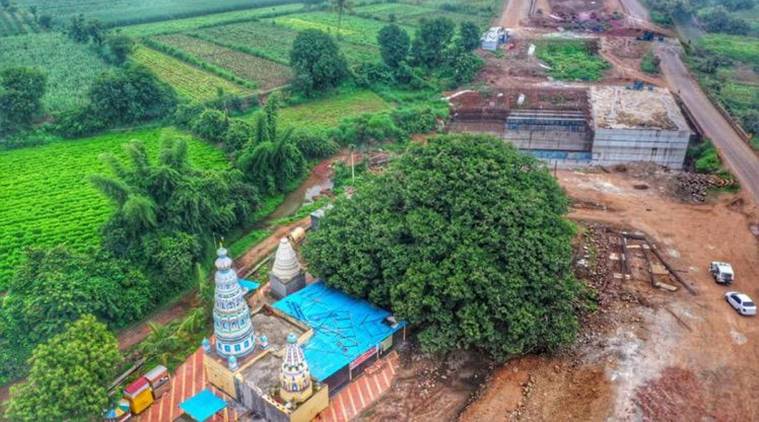 aditya thackeray, sangli highway plan, sangli highway banyan tree, sangli 400 year old banyan tree, villagers save 400 year old banyan tree, indian express news