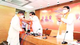 land acquisition, bullet train project, surat farmer leader, gujarat news, indian express news