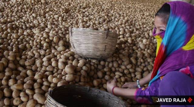 Monthly average price of potato Rs 40/kg, highest in a decade