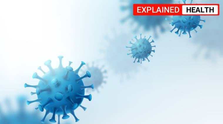 coronavirus, covid-19, coronavirus immunity, coronavirus structure, coronavirus PLpro, coronavirus latest news, coronavirus research, indian express news