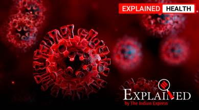 coronavirus, coronavirus cases, coronavirus study, coronavirus research, coronavirus vaccine, covid 19 tracker, india covid 19 tracker, covid 19 tracker live, corona cases in india