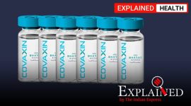 covaxin, covaxin august 15 launch, india covid 19 vaccine, india vaccine launch, india vaccine buy
