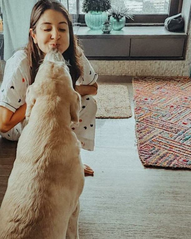 dog anushka