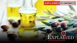 GCMMF, Gujarat Cooperative Milk Marketing Federation Limited, Gujarat Cooperative Milk, Gujarat Cooperative Milk Marketing Federation Limited edible oil business, Express Explained, Indian Express