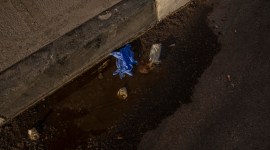 Egypt arrests doctors, silences critics over virus outbreak