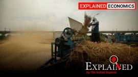 kharif crops, diesel prices, rural economy, Covid rural economy, Coronavirus news, monsoon status, Indian Express