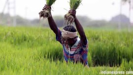 India farm sector, India farm sector growth, India GDP, India GDP contraction, India news, Indian Express