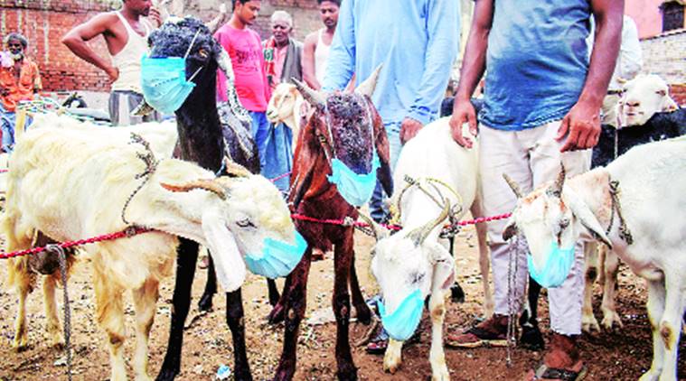 Won’t allow animal sacrifice during Bakrid, Hindus also did away with ...