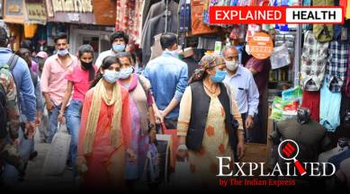 Herd immunity, Herd immunity lancet study, coronavirus, coronavirus news, coronavirus vaccine, herd immunity explained, what is herd immunity, indian express