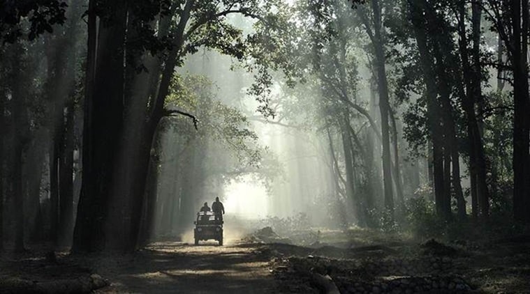 forest ministry, highways, highway clause wave off, higway through forest, forest land hghways, Ministry of Environment, indian express news