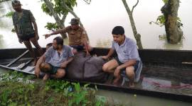 hippo 759 Assam floods, Assam floods latest updates, assam relief camps, assam flood news, assam news, indian express