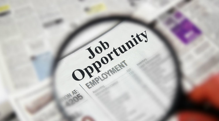 2 lakh job seekers apply on Punjab govt portal in 2 months; 164 are PhDs