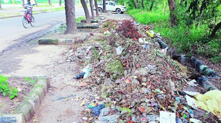 chandigarh waste management, Chandigarh News, chandigarh traffic congestion, indian express