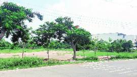 art museum, grave error discovery, Haryana news, Chandigarh news, Indian express news