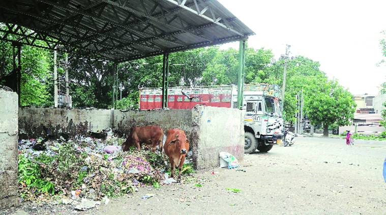 Mohali: Residents face problems with garbage dump in open
