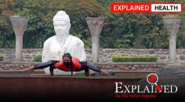 coronavirus news, coronavirus risks, india coronavirus news, coronavirus guidelines, covid india rules, indian express