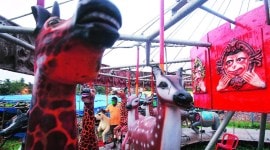 narendra modi, covid-19, circus, animal use in circus, circuses in mumbai, Rambo Circus in mumbai, circus end in mumbai, indian express news