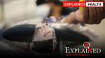 plasma bank, india plasma bank, what is plasma bank, plasma bank explained, plasma bank in india, covid plasma bank, delhi plasma bank, indian express
