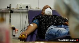 Karnataka news, Karnataka plasma therapy, plasma therapy, Coronavirus news, Karnataka Covid cases, Indian Express