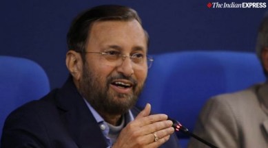 Cabinet decision Prakash JAVADEKAR