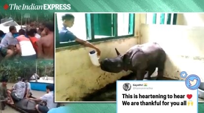 Assam floods: Netizens cheer as rescued baby rhino is fed from