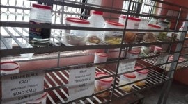 Borders melt for Indian patients seeking treatment in Nepal’s snakebite treatment centres