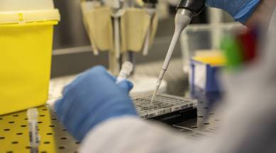 COronavirus cure, Human trials, Oxford COVID vaccine, Department of Biotechnology, Indian express news