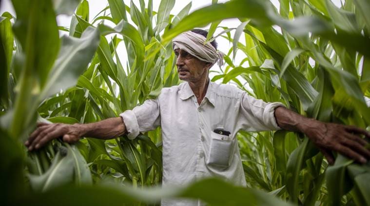 water crisis india, water shortage india, india agriculture water crisis, pm modi, narendra modi, farmers crisis india