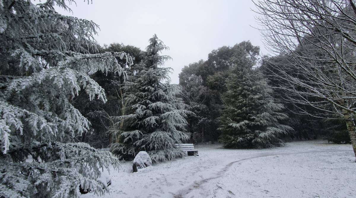 Australia snow, Snow in australia