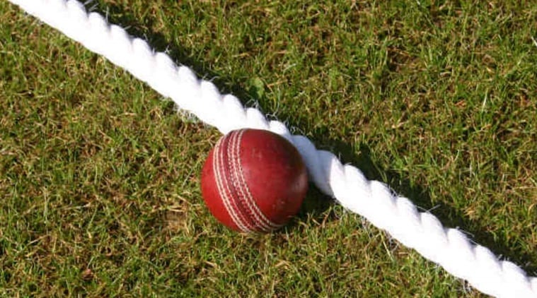 Cricket