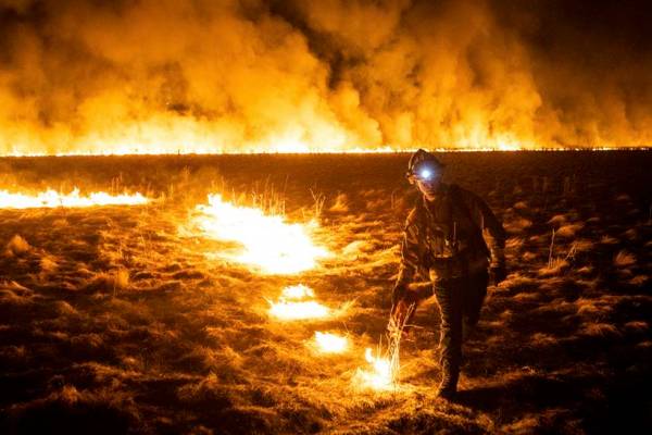 california, california wildfire, wildfires in california, heatwave, world news, indian express news