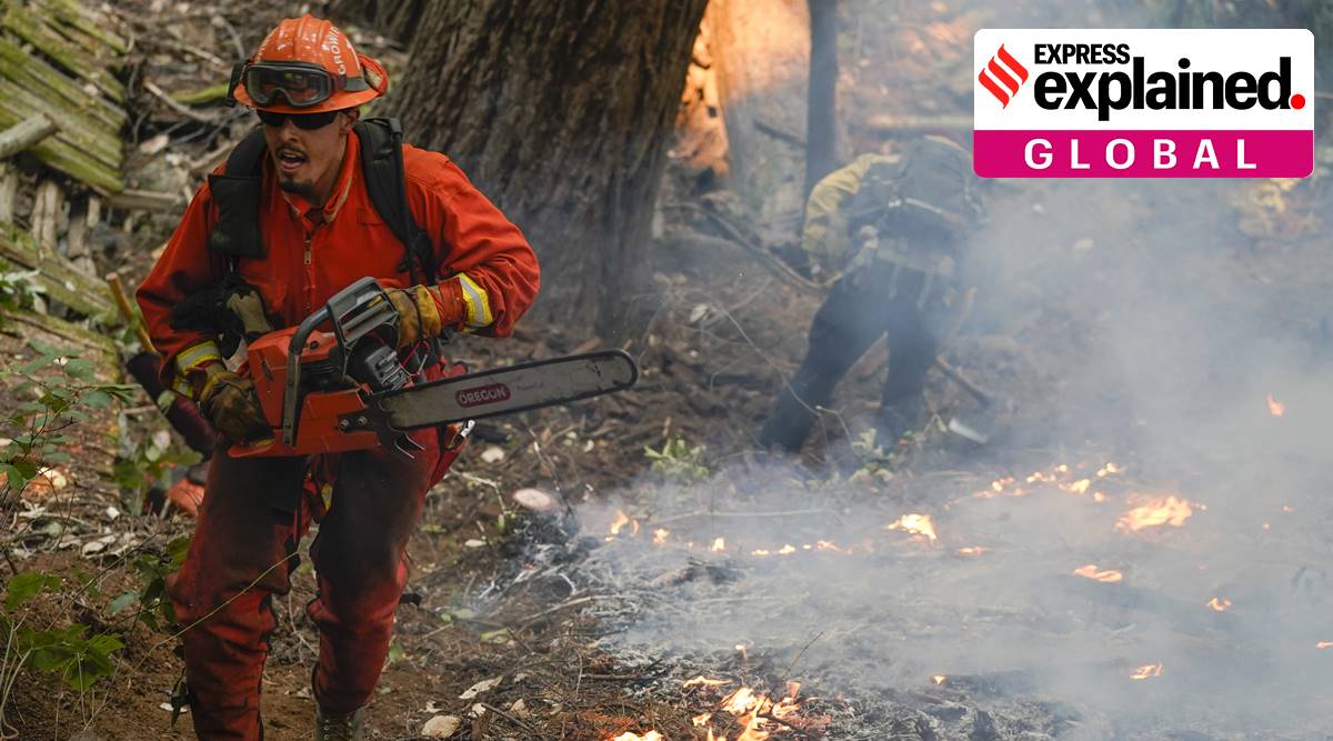 California wildfire, California climate, Santa Cruz County, California government, California wildfire explained, Indian express