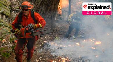 California wildfire, California climate, Santa Cruz County, California government, California wildfire explained, Indian express