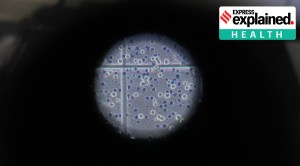 Explained: How effective is plasma therapy for Covid-19?