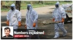 coronavirus, covid 19 news, India Covid deaths, coronavirus deaths India, covid 19, indian express