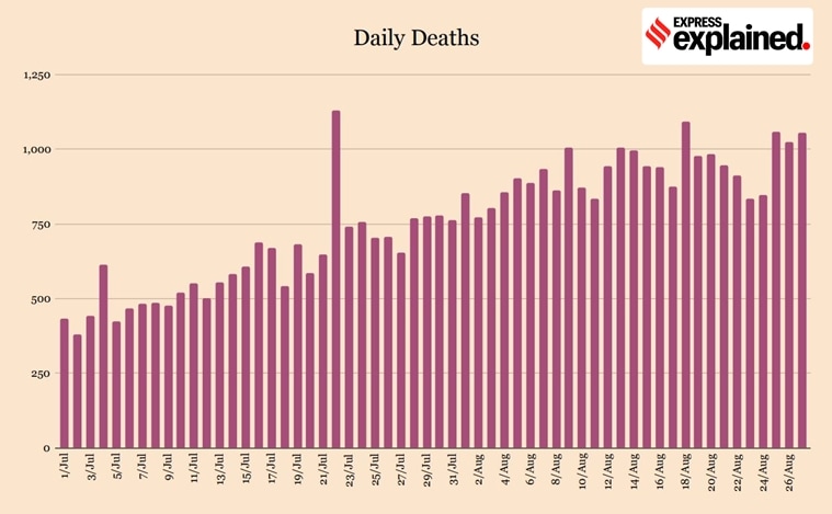 coronavirus, covid 19 news, covid deaths in India, coronavirus deaths in India, covid 19, Indian express