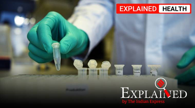 coronavirus, coronavirus vaccine, covid vaccine, coronavirus vaccine update, coronavirus vaccine india, india covid vaccine, covid vaccine news, indian express